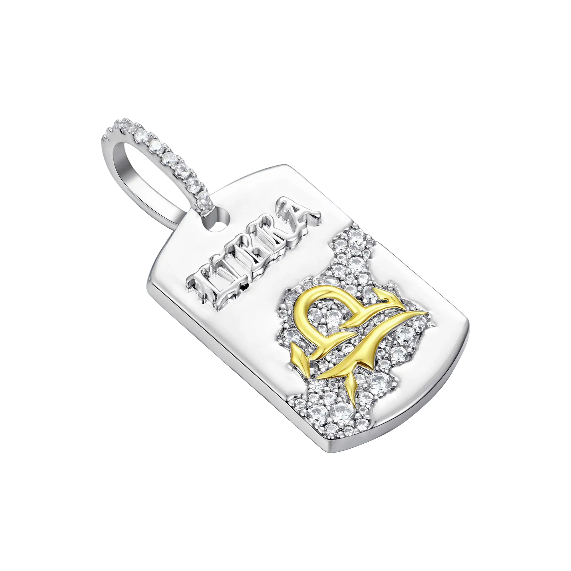 Zodiac Dog Tag Pendant - Image 7